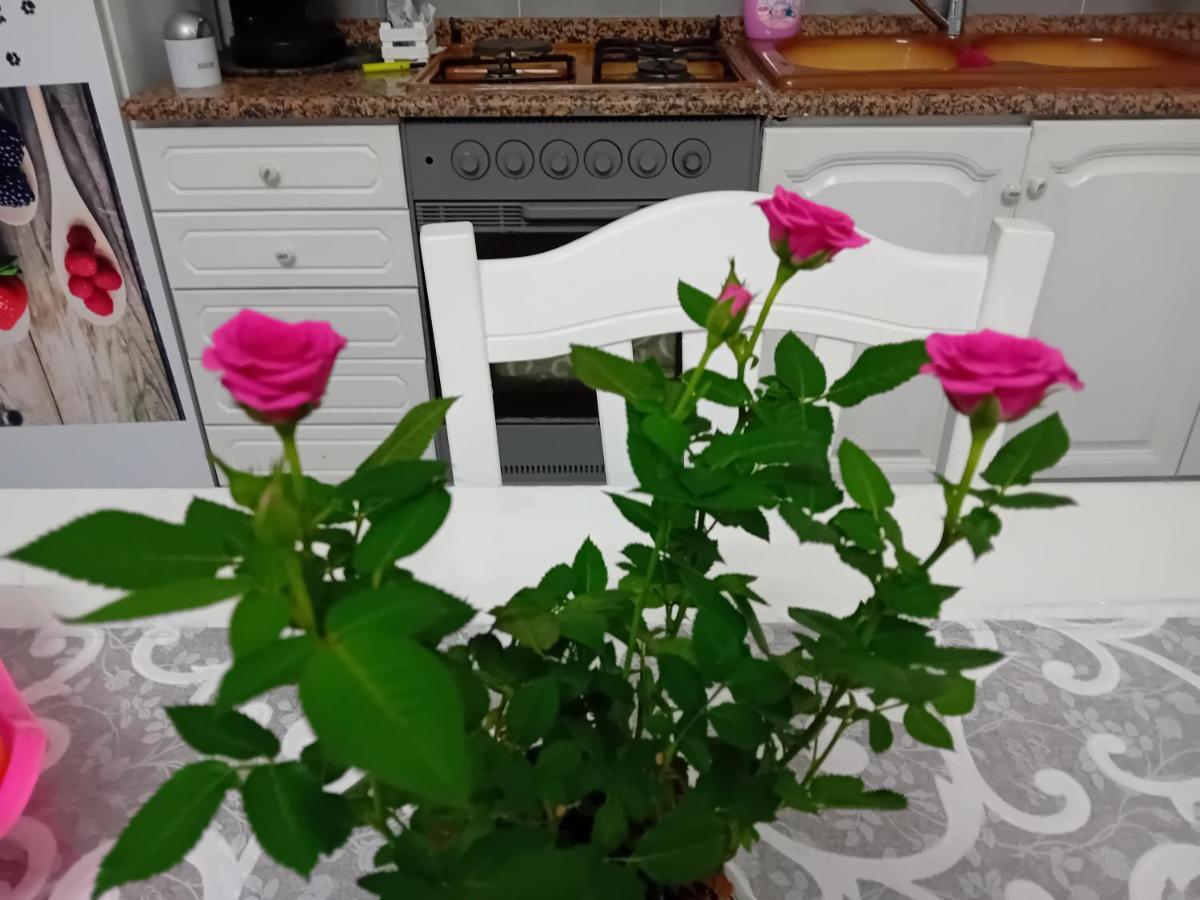 パレルモCasa Passamonteアパートメント エクステリア 写真